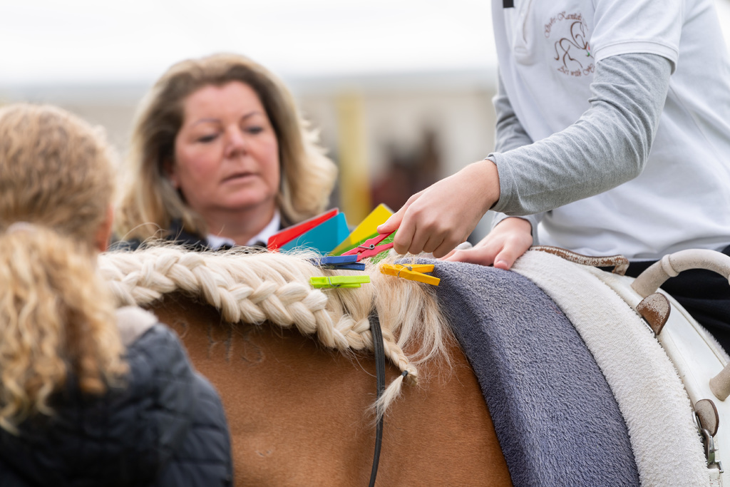 lovasterápia lovasverseny3