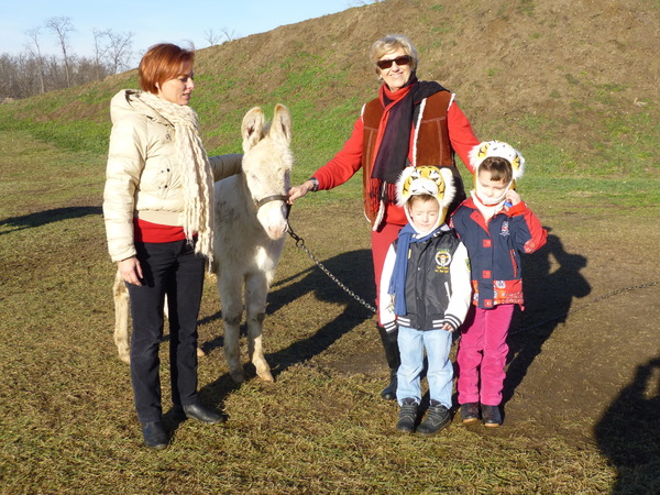 P1000143.JPG