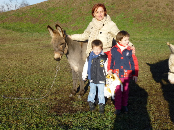 P1000163.JPG