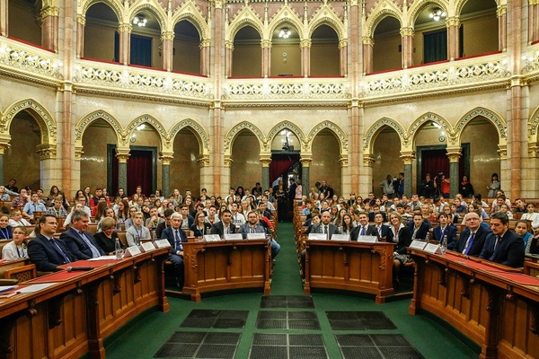 Kép_11